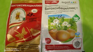БИТОКСИБАЦИЛЛИН . ВСЕ ЧТО НАДО ЗНАТЬ О БИТОКСИБАЦИЛЛИНЕ
