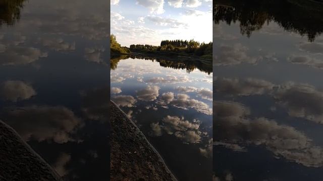 Шок такого я еще не видел ловля раков на раколовки смотреть онлайн