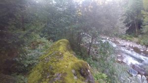 Кодорское ущелье