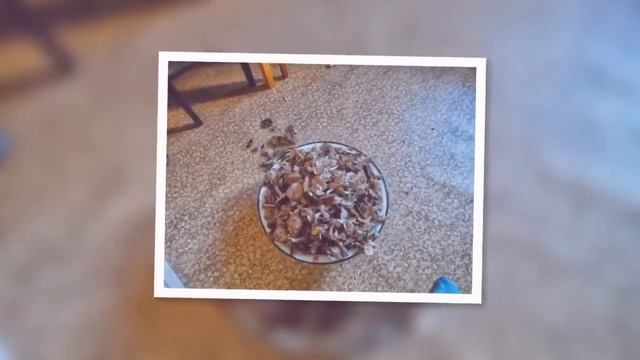 Тихая охота (2 часть) смотреть онлайн