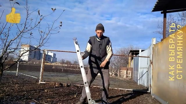 КАКУЮ ВЫБРАТЬ СТРЕМЯНКУ ДЛЯ САДА? Коротко. Наглядно.