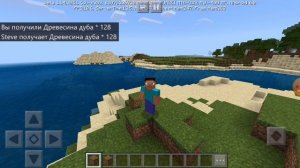 Я показываю как выдать себе барьер и дуб в Minecraft