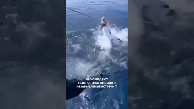 Незабываемая морская рыбалка на Мальдивах! Рыбалка на поппинг на Желтоперого тунца #shorts