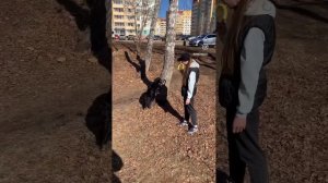 Бордер колли -4 месяца, трюки , команды