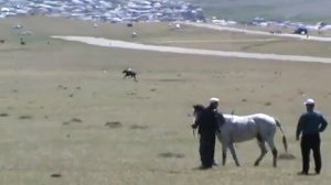 Конные скачки в с. Хунзах, 2012 год.