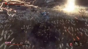SEKIRO: SHADOWS DIE TWICE / ИССИН МАСТЕР МЕЧА / БЕЗ УРОНА