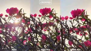 Huawei P60 Art VS Huawei P60 Pro VS Huawei P60 Camera Test