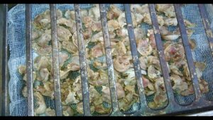 Куриные желудки горячего копчения своими руками DIY