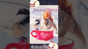 Всех с добрым утром ☕отличного дня и хорошего настроения🤗✨❄️