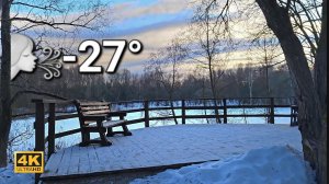 Сильные морозы в Москве. Прогулка в лесу