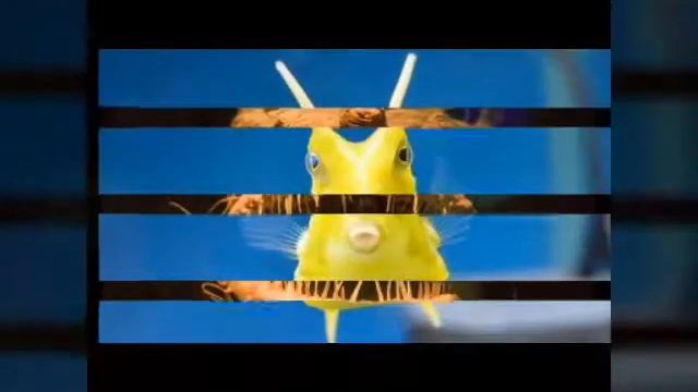 Первое видео .Подбор картинок на тему: обитатели морей и океанов .Обязательно загляните в описание! смотреть онлайн