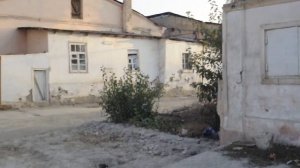 Александр Куприн. Фергана, ноябрь,  2019 г.