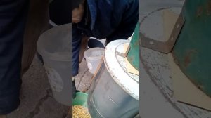 очистка кукурузы от початка