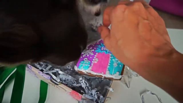 РАСПАКОВАЛИ ПОДАРКИ из РАЗНЫХ СТРАН ДЛЯ ВОЛШЕБНЫХ ПИТОМЦЕВ смотреть онлайн