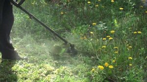 Триммеры для травы. Электротриммер Grunhelm 1200 Вт в работе. Личный опыт. Дачный участок