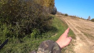 Осенняя охота на серую куропатку с подхода. Попробуй попади! Тарелочники отдыхают!
