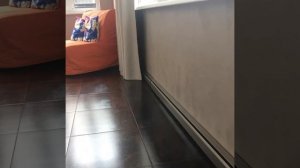 Купить ТЕПЛЫЙ ПЛИНТУС в Краснодаре.