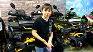 Квадроцикл 300 КУБОВ MotoLand Wilde Track X Pro, покупка