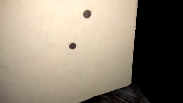 Лазерная трубка CO2 Yongli R3 (80-90 Ватт) № 0424425 пл 11028 смотреть онлайн