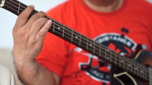 Lady Madonna Bass Cover