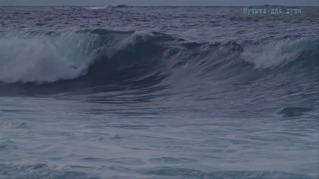 Качаясь на волнах