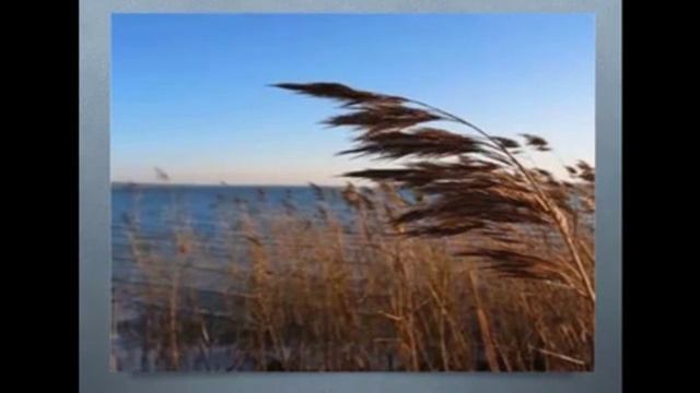 История возникновения музыкальных инструментов смотреть онлайн