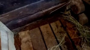 Глубокая подстилка как она работает в козовнике