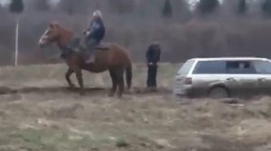 Лошадь тянет машину. Horse pulls the car