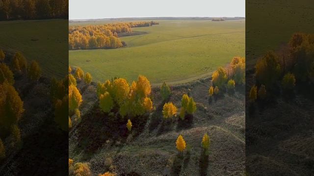 «Зеленые Холмы» прекрасны в любое время года