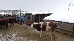 Третий  день весны-  начинается весенняя метель