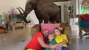 Лев и семья устроили дома зоопарк |  Lev Family Show