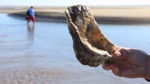 Испанское побережье