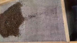 Вибростол 01.2024г.