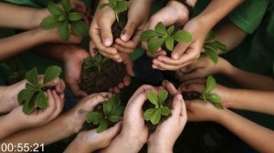 Что будет, если исчезнут растения?