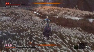 SEKIRO НГ+2 Иссин без аптечек, только меч!