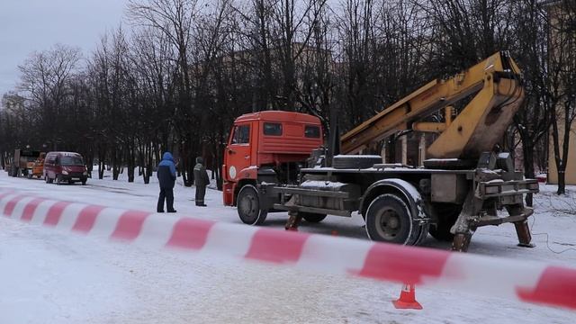 Смоленский «Зеленстрой» проводит сезонную обрезку деревьев