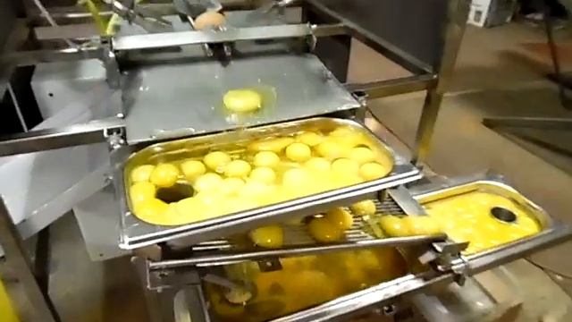 Машина для разбивки яиц и разделения содержимого на белок и желток смотреть онлайн
