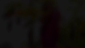 Sufia shathi | Saree Video | Actress | Saree Lover | Bong Crush | Backless Saree | Bong Tilottama