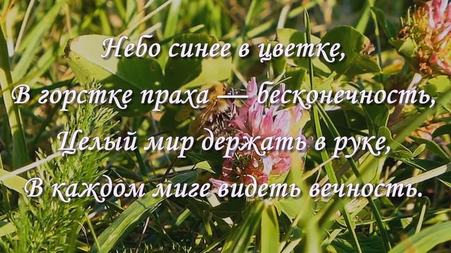 Пожелания Друзьям.ЖИВИ НА РАДОСТЬ ДРУГУ! Мудрые слова.Мудрость жизни.