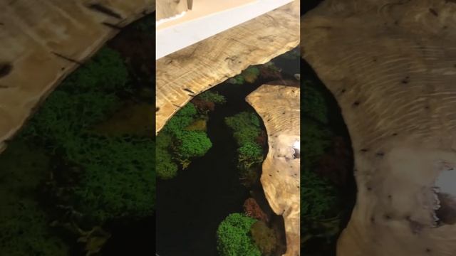 Авторский стол из слэба граба с диорамой из эпоксидной смолы смотреть онлайн