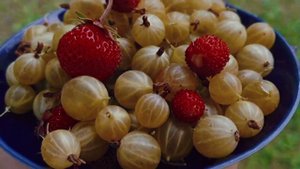 VLOG 2 | Travelling around Russia | Nature around us