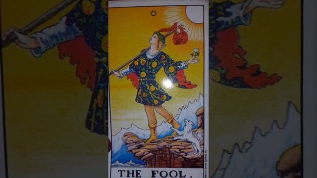 0- The Fool. смотреть онлайн