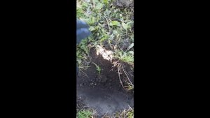 НОВЫЙ прибор! ПЕРВЫЙ выход с Rutus Alter 71 (Рутус Альтер 71)