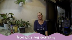 Пересаживаю цветы под разговоры о разном.