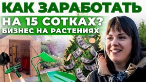 Как заработать на туях и можжевельнике? Бизнес в деревне | Брянск | Андрей Даниленко