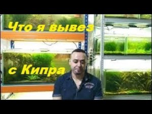 Кипрские приключения. (Архив от 2.12.2023)