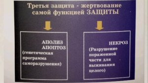 Гомеопатия