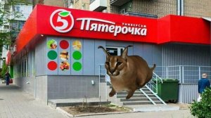 Мемы | 1 серия