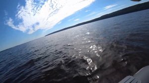 Ловля СУДАКА с лодки на джиг. Река Волга.Fishing for zander on the Volga river.