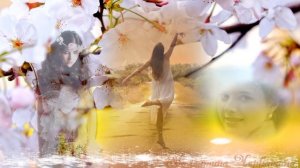 РОМАНС Рощина  Из кинофильма РАЗНЫЕ СУДЬБЫ